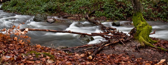 Lesný potok, keď sa snehy roztop