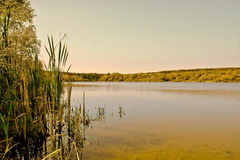 Pozdišovský rybník