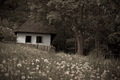 domček podlesný