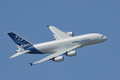 Kruhy v obilí: A380