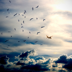 >Na krízach fantázie-časť:_2