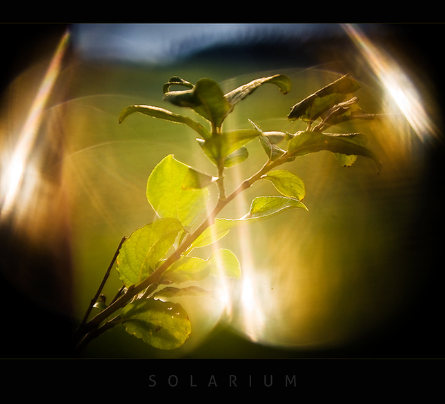 solarium