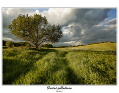 Slnečné pohladenia