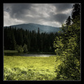 Vrbicke pleso