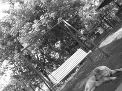 krása domova