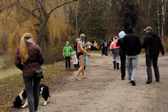 Ľadové medvede 2015