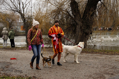 Ľadové medvede 2015