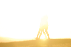 Horizont udalostí I.