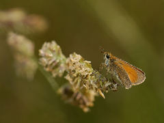 Noc bola chladná a ...