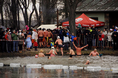 Ľadové medvede 2015