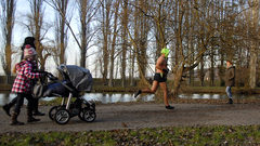 Ľadové medvede 2014