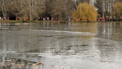 Ľadové medvede 2015