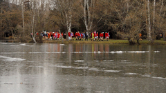 Ľadové medvede 2015