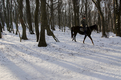 Zoborský silvestrovský beh 2014