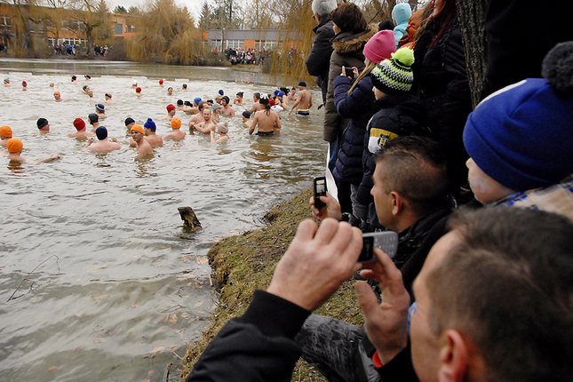 Ľadové medvede 2015