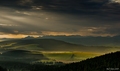 Orava