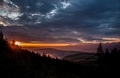 Orava