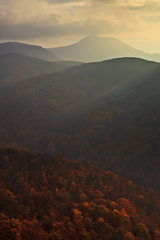 Karpaty