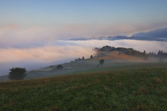 Ráno nad Rohoznou III.