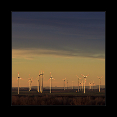 Vrtuľkové Podunajsko II