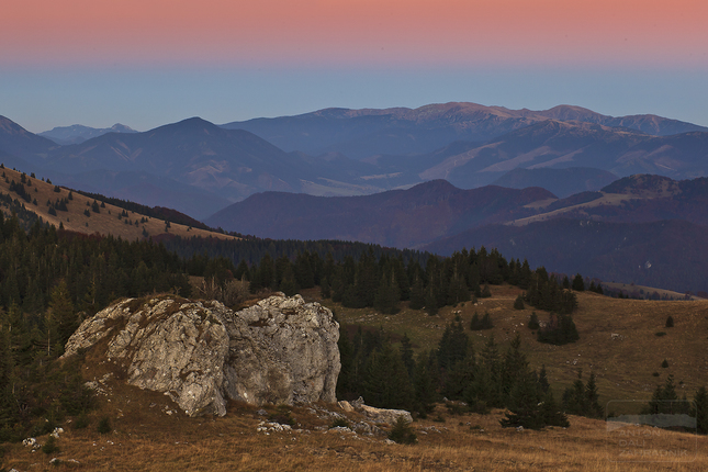 Podvečerná