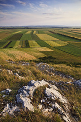 Geometria poľa