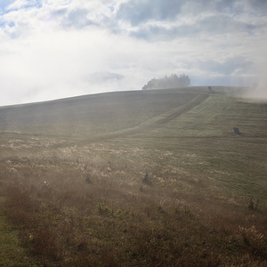 Ráno nad Rohoznou II.