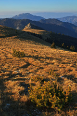V krajine pod Krížnou
