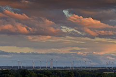 Vrtuľkovo po búrke II
