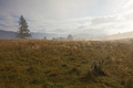 Ráno nad Rohoznou
