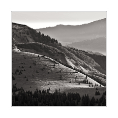 Fatra čiernobiela II.