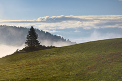 Ráno nad Rohoznou II.