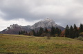 Rozsutec