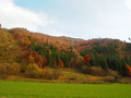 za sklom
