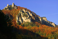 Súľovský Roháč II