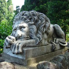 Tvrdý spánok