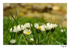 Fu, ale sme sa zašpinili....