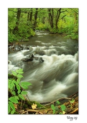 U nás pri potoku....