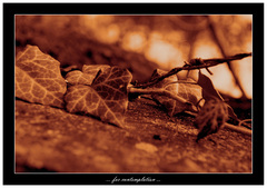 ...for contemplation...