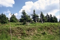 Krajina v Jeseníkách, Morava 200