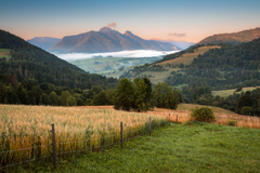 Ráno v Zázrivej II