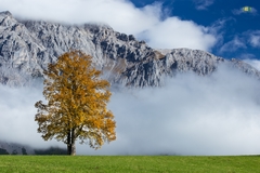 Alpské ráno