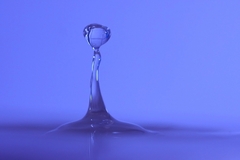 Water macro world