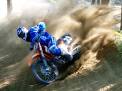 MX