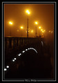 Misty Bridge