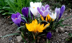 we are happy family :))