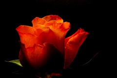... nezna 3...
