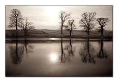 Maynooth 3
