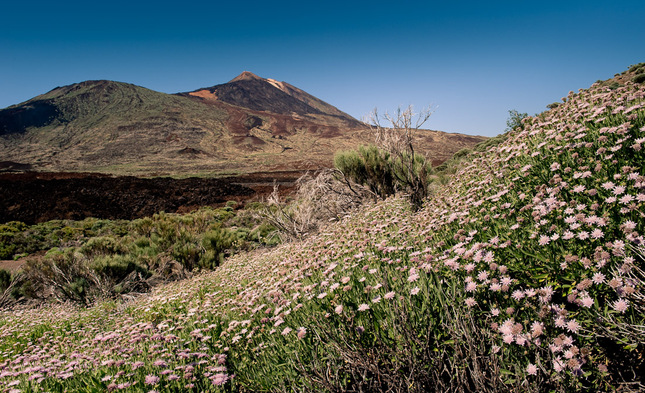 Pico de Teide III.