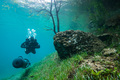 Gruner See